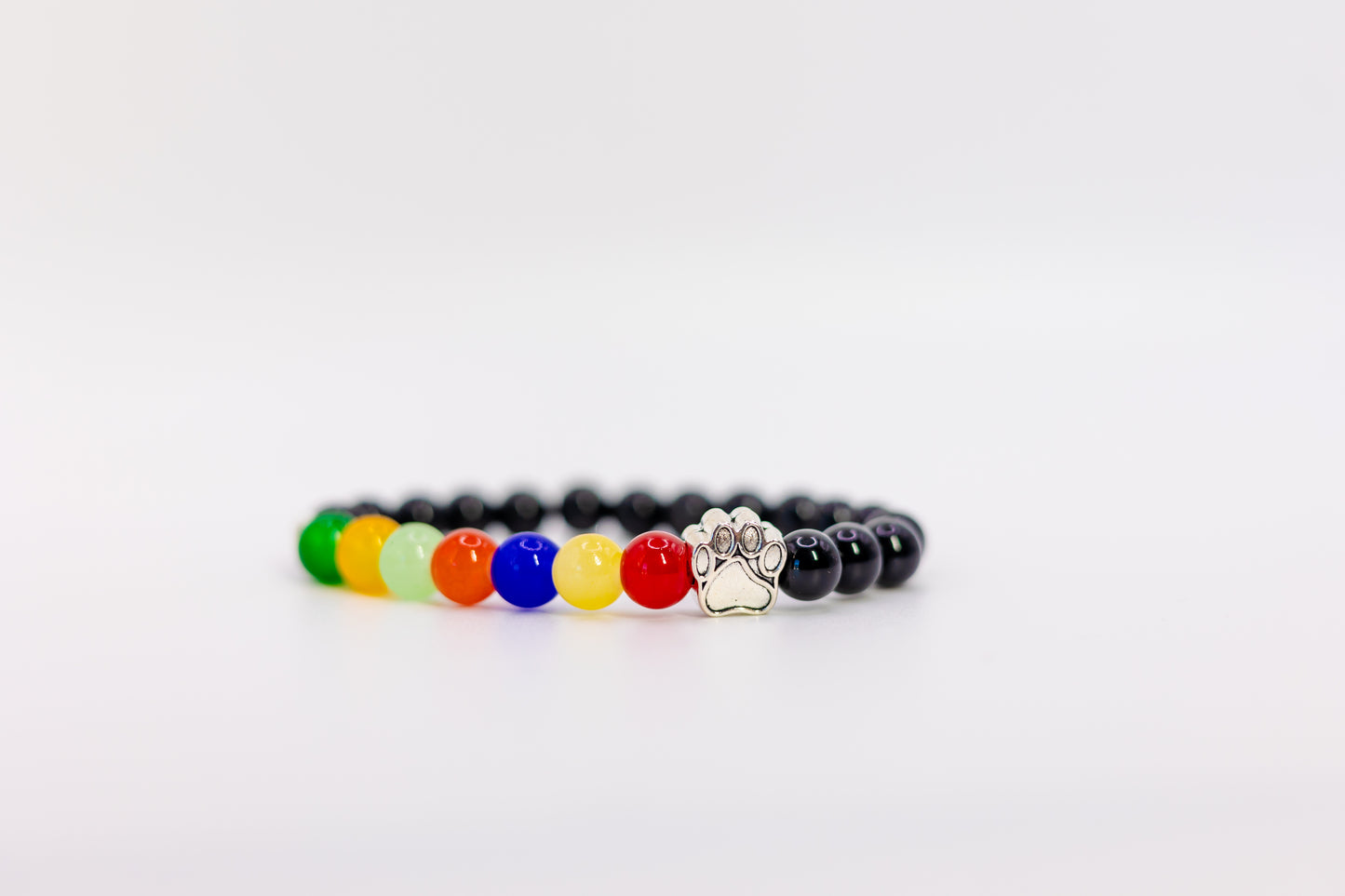Rainbow Night Pet Guardian