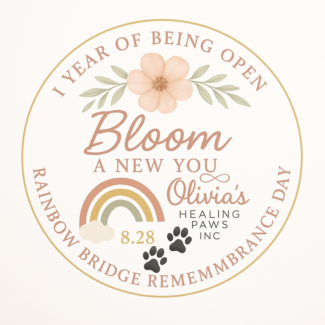 Bridge of Blossoms Anniversary Collection