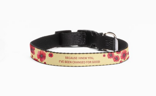 🌸 For Good Poppy Dog Collar